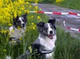 /album/fotogallerij/gorinhem-05-05-33-jpg/